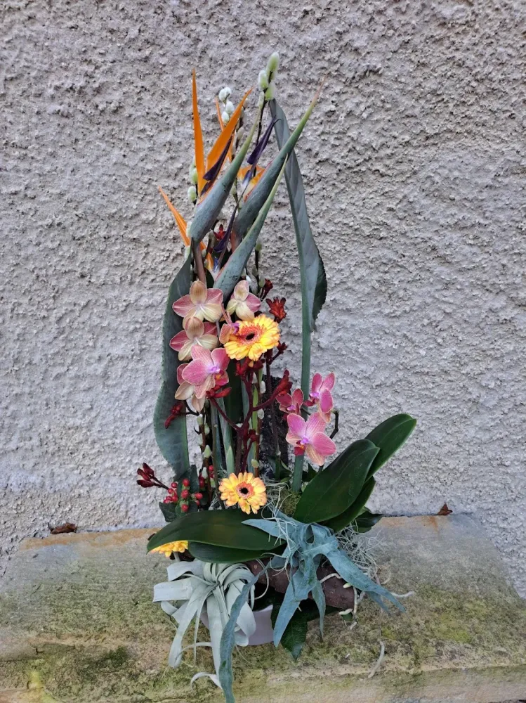 Création floralewebp